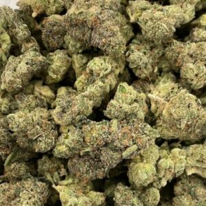 Animal Cookies Strain