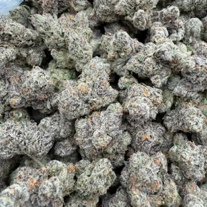 Kosher Kush Strain