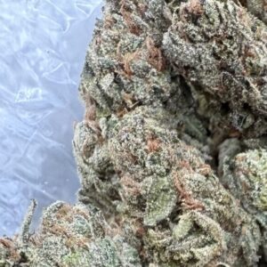 Blue Z Strain #8382