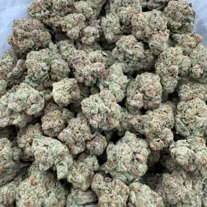 Brain Freeze Strain