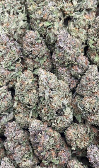Cherry Zlushie – PK393