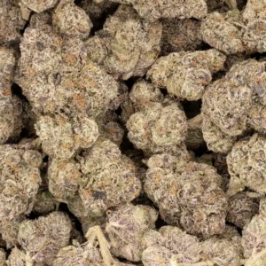 Chicago Runtz Strain