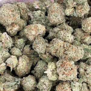 Citrique Strain