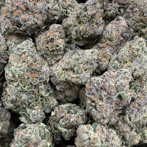 Dutch Treat Strain