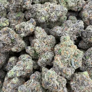 God's Gift Strain