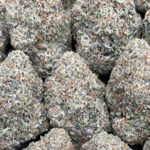 Larry Bird – PK375