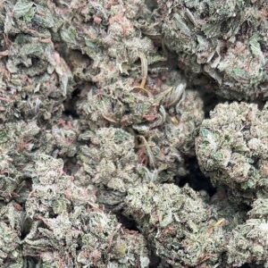 Guava Cake – PK370