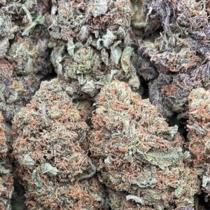 Platinum Calyx – PK367