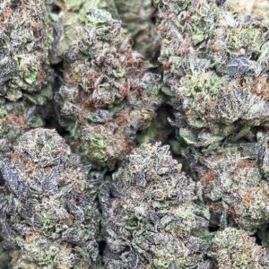 Magnum Opus – PK364 Regular