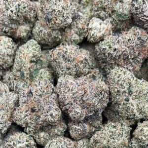Purple Lamborghini – PK361