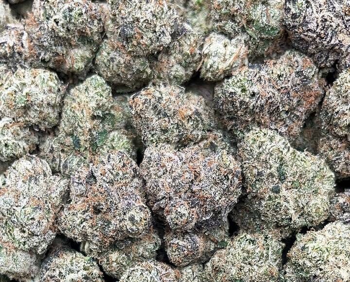 Purple Lamborghini – PK361