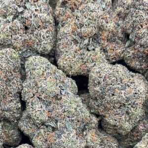 Rainbow Rozay – PK355