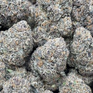 Northern Lights – PK352