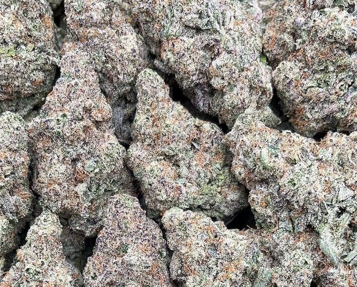 Columbian Gold – PK347
