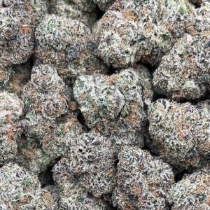 Purple Champagne – PK345