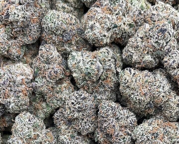 Purple Champagne – PK345