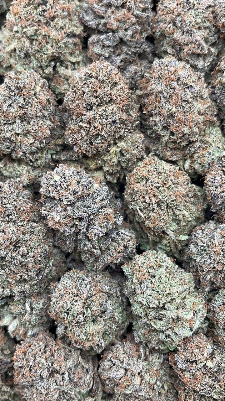 Platinum Candy – PK342