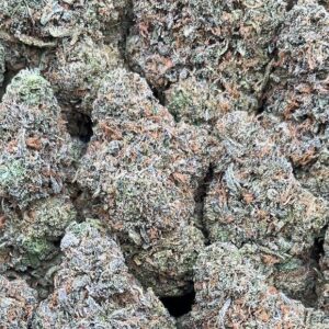 Frosty Gelato – PK340