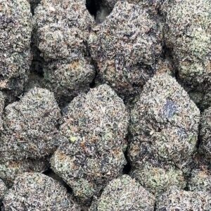 Blue Cheese Strain– PK339