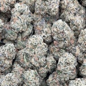 Gorilla Mintz – PK338