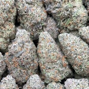 Pink Panther – PK336