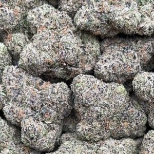 Obama Runtz – PK292