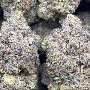 Purple Hindu – PK104