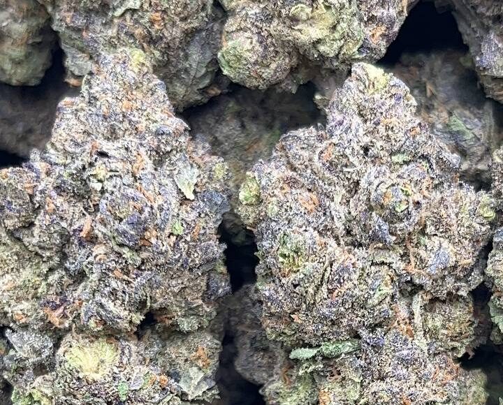 Purple Hindu – PK104