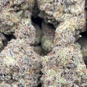 Space Cake – PK105