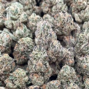 Tres Leches – PK109