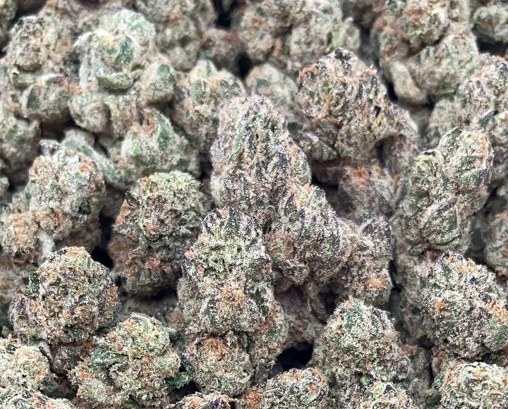 Black Tuna PK-345