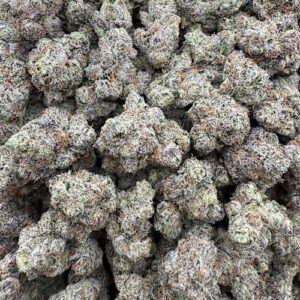 Blue Rhino  LICENSED EXOTIC
