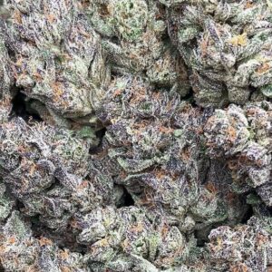 Italian Ice – PK332