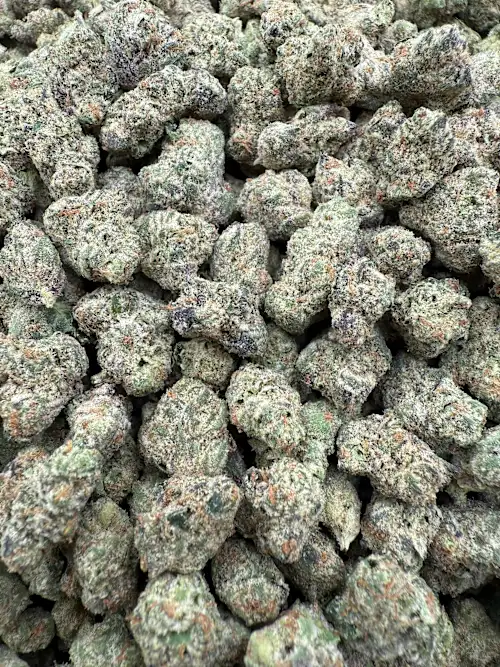 Kirkwood OG Strain