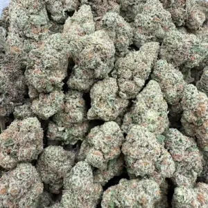 Laughing Gas Strain