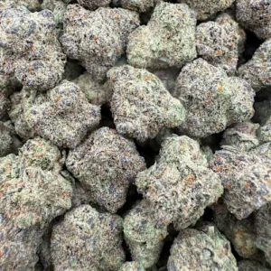 Mojilato Strain