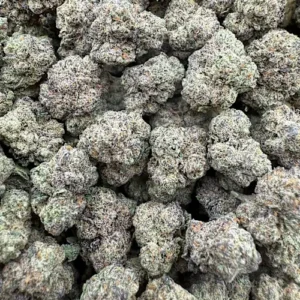 Original Glue (Gg#4) Strain