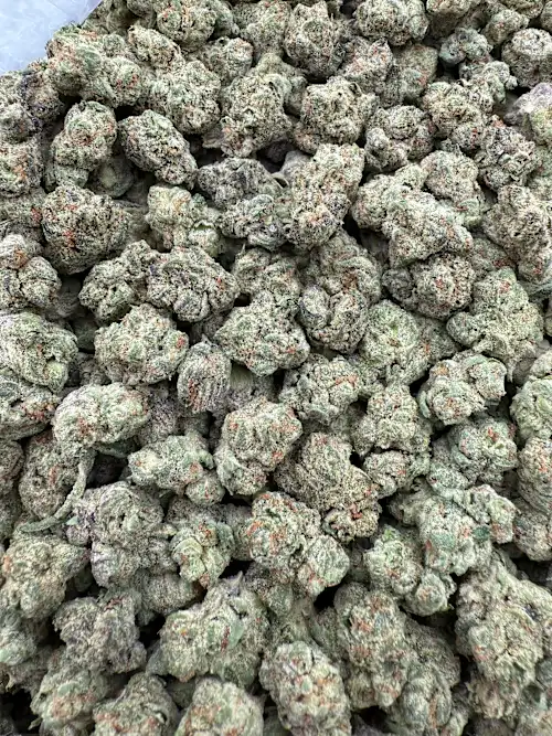 Pez Strain
