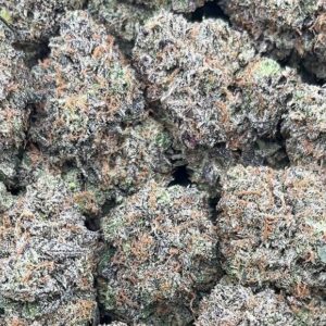 Platinum Blueberry Strain– PK387