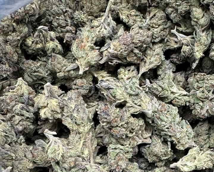 Purple Zkittlez THCA Flower