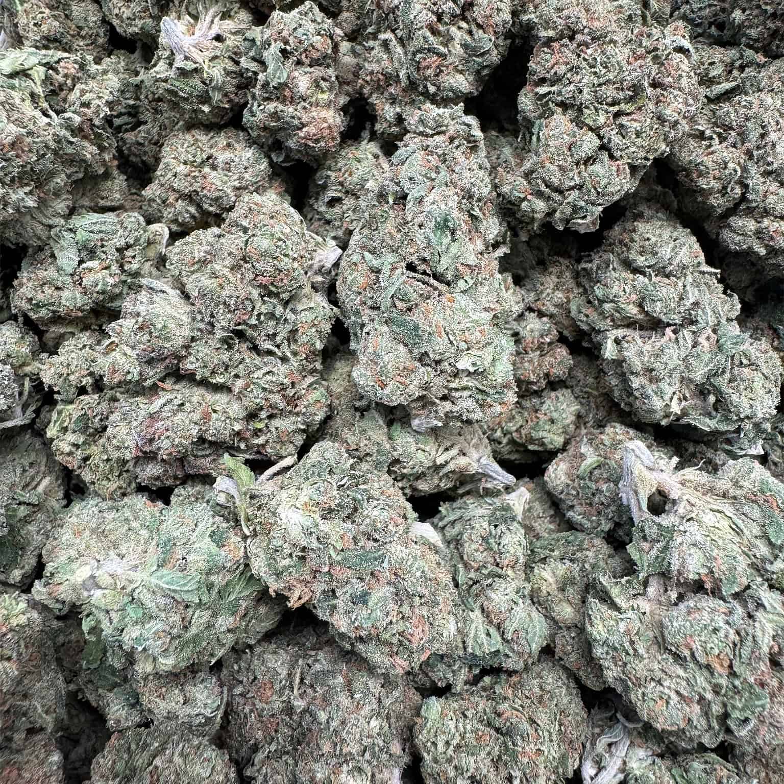 RS11 THCA Flower