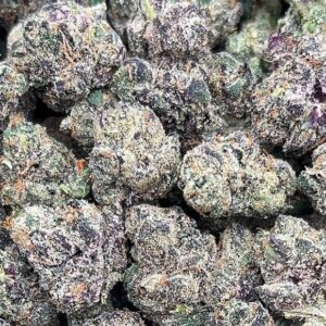 Roadkill Skunk PK-765