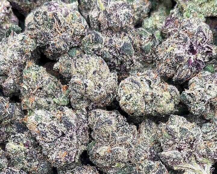 Roadkill Skunk PK-765