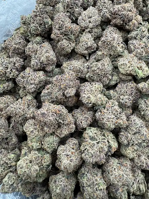 Runtz Buttonz Strain