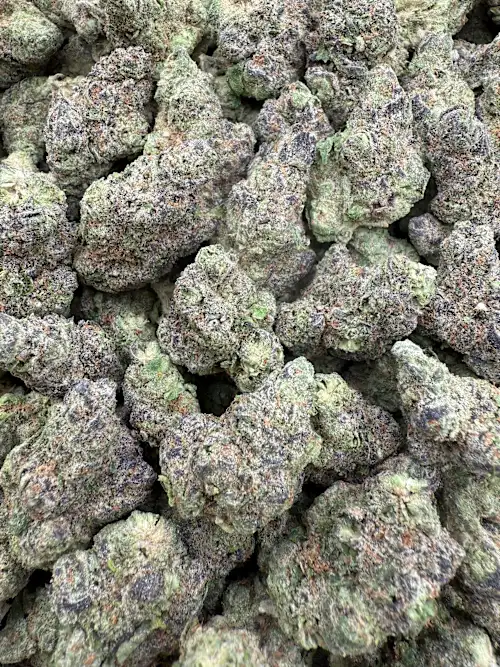 Secret Triangle Strain