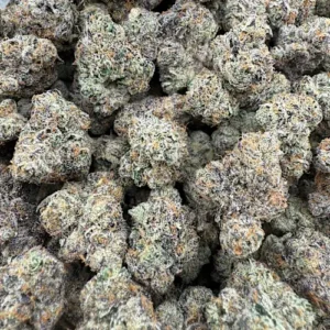 Lemon Pressure  LICENSED EXOTIC