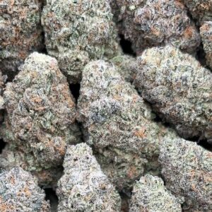 White Walker Strain– PK386
