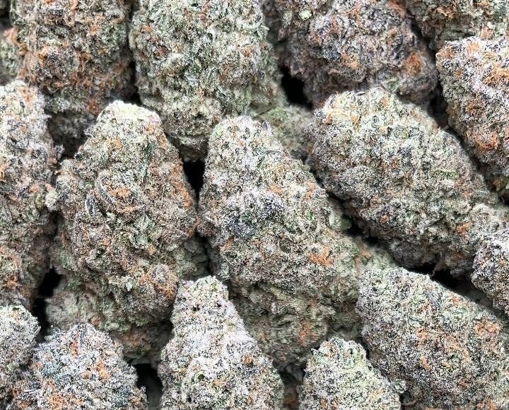 White Walker Strain– PK386