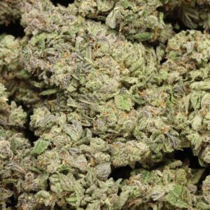 Blue Razzay Strain