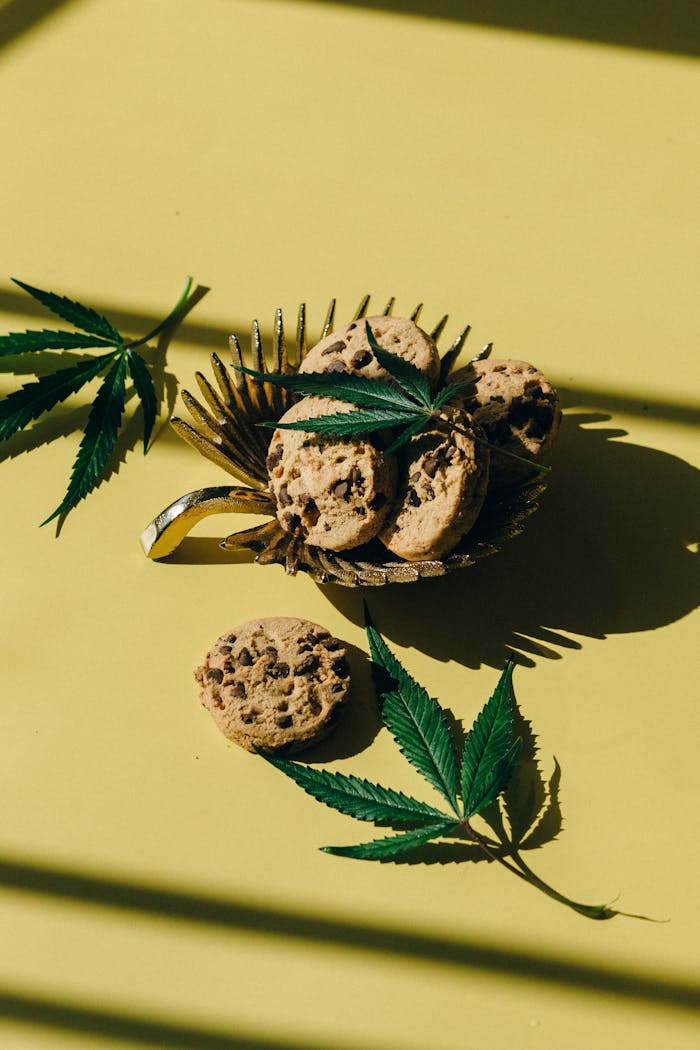 A golden tray of cannabis-infused chocolate chip cookies with marijuana leaves, casting artistic shadows.